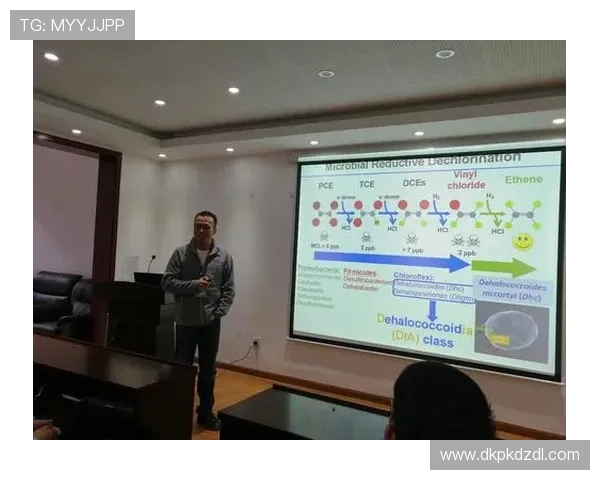 德州大小:德州大小城市环境与生态保护的不同策略与成果分析
